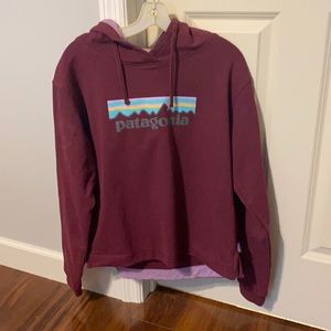 patagonia sweatshirt